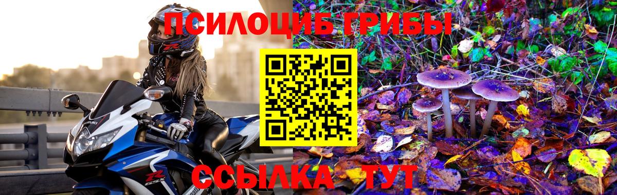 Псилоцибиновые грибы Psilocybe  Псилоцибиновые грибы GOLDEN TEACHER  Валуйки  Вход с VPN 