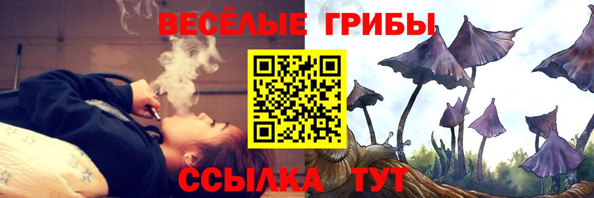 Галлюциногенные грибы GOLDEN TEACHER Валуйки